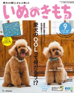 img_dog_cover2