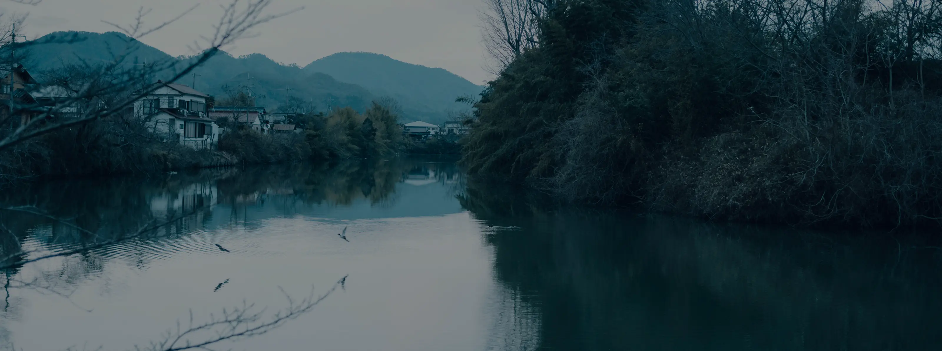 地域共創コンサルティング/事業開発